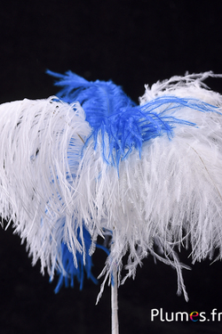Plumet autruche - 4 plumes, hauteur 20-24 cm - creme-turquoise